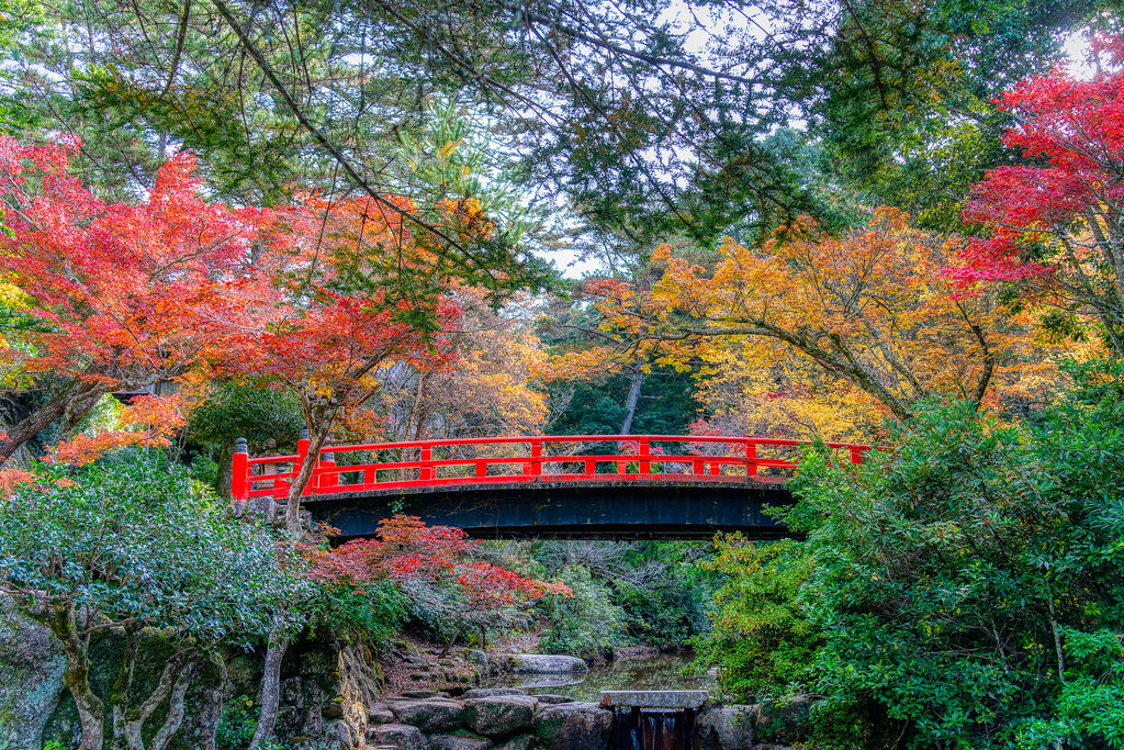 宮島紅葉谷公園の美しい紅葉