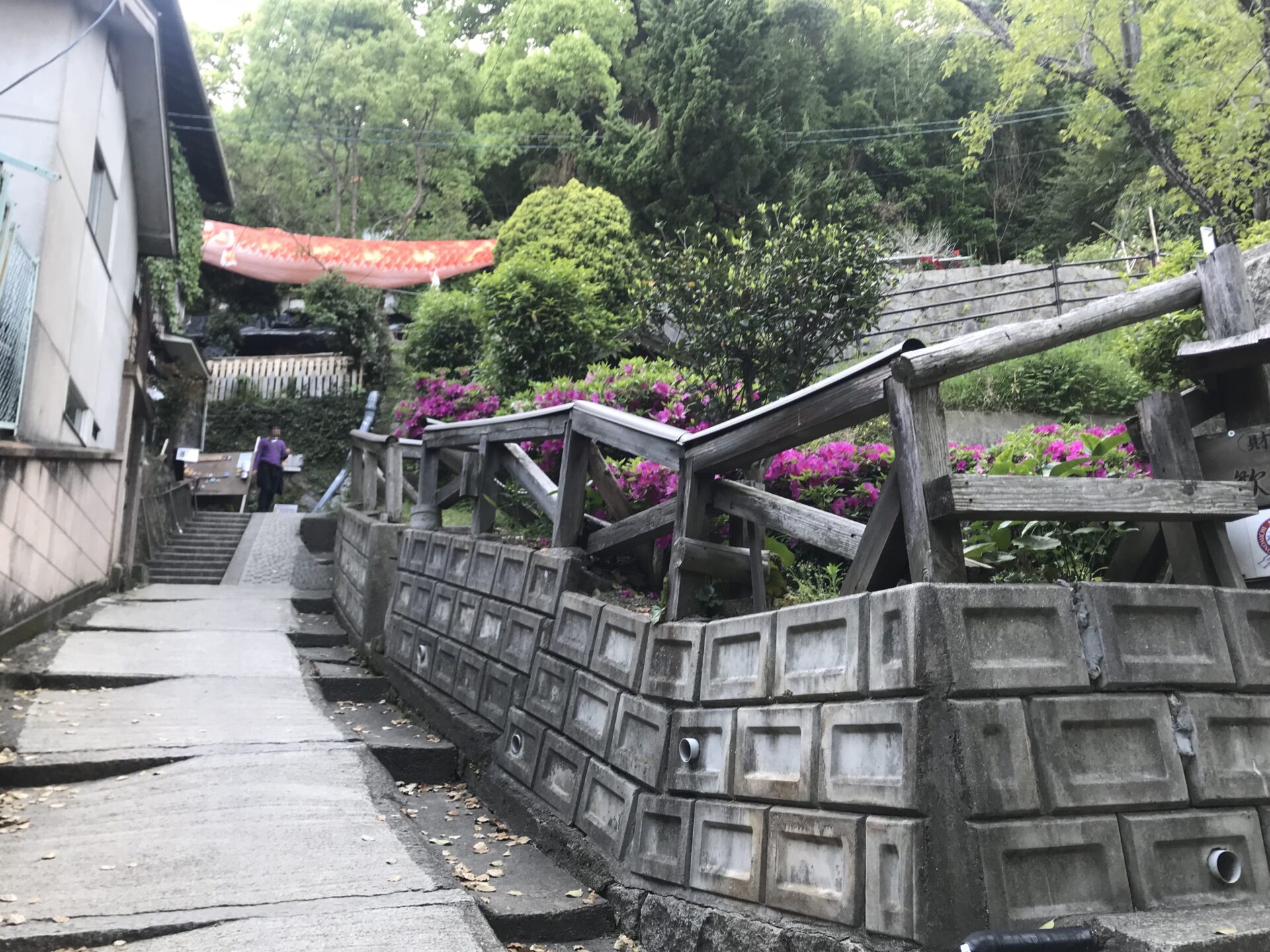 猫の細道の坂道