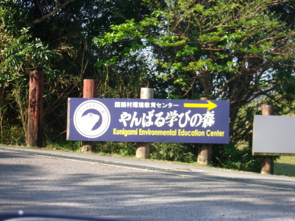 やんばるの森でハイキングを楽しむ