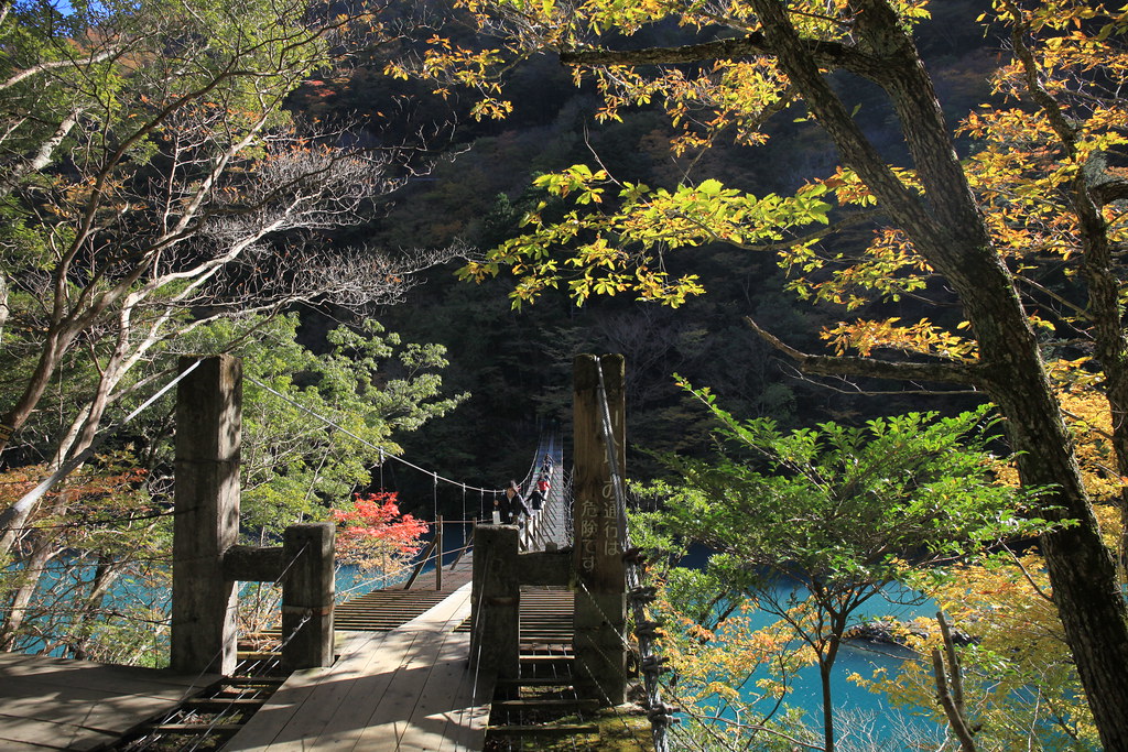 夢の吊り橋がある寸又峡と紅葉