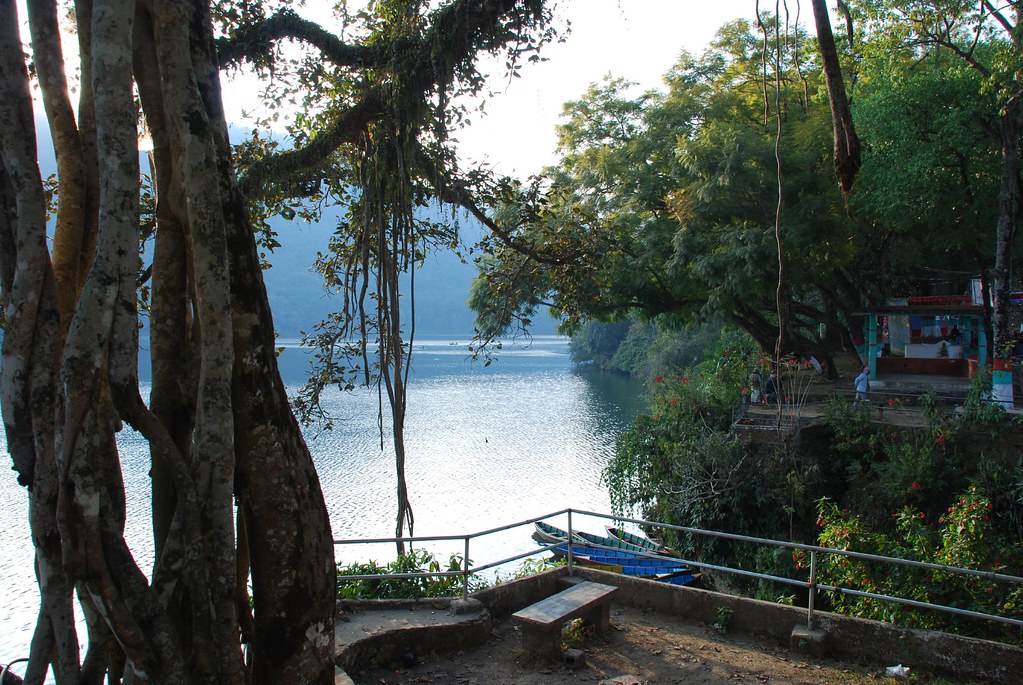 フェワ湖でのボートツアー