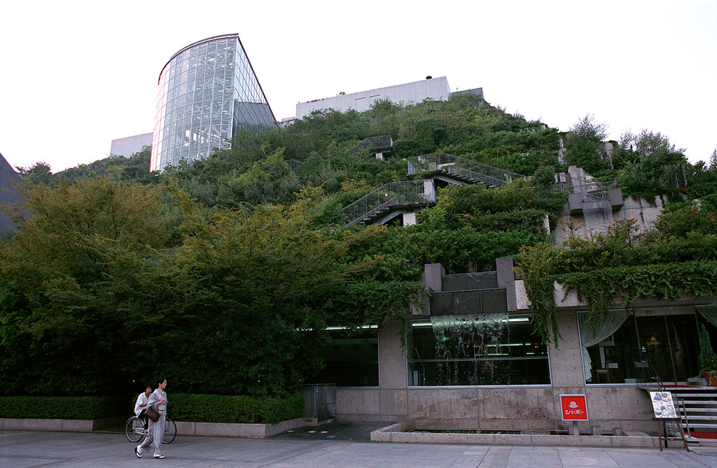 緑豊かな天神中央公園でリラックス