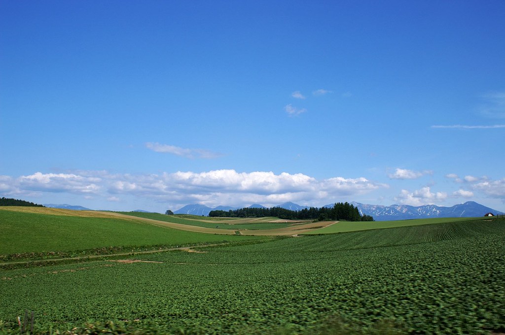 8月の北海道富良野の大地