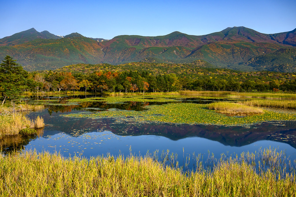 秋の紅葉が美しい知床半島