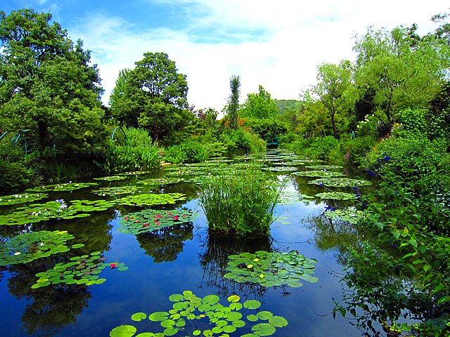 モネの庭 マルモッタンのスイレン