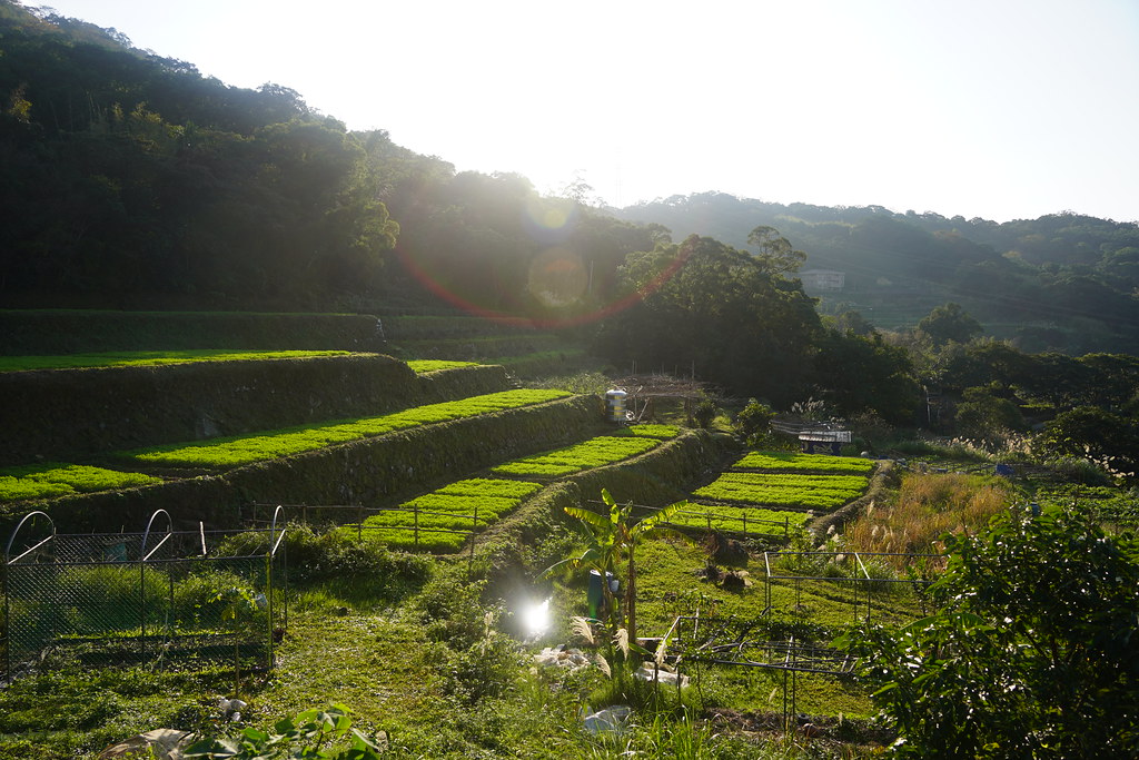 2回目の台北観光で訪れたい猫空の絶景