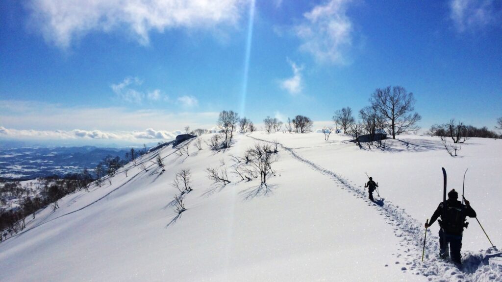 ニセコの雪山でスキーを楽しむ旅行客