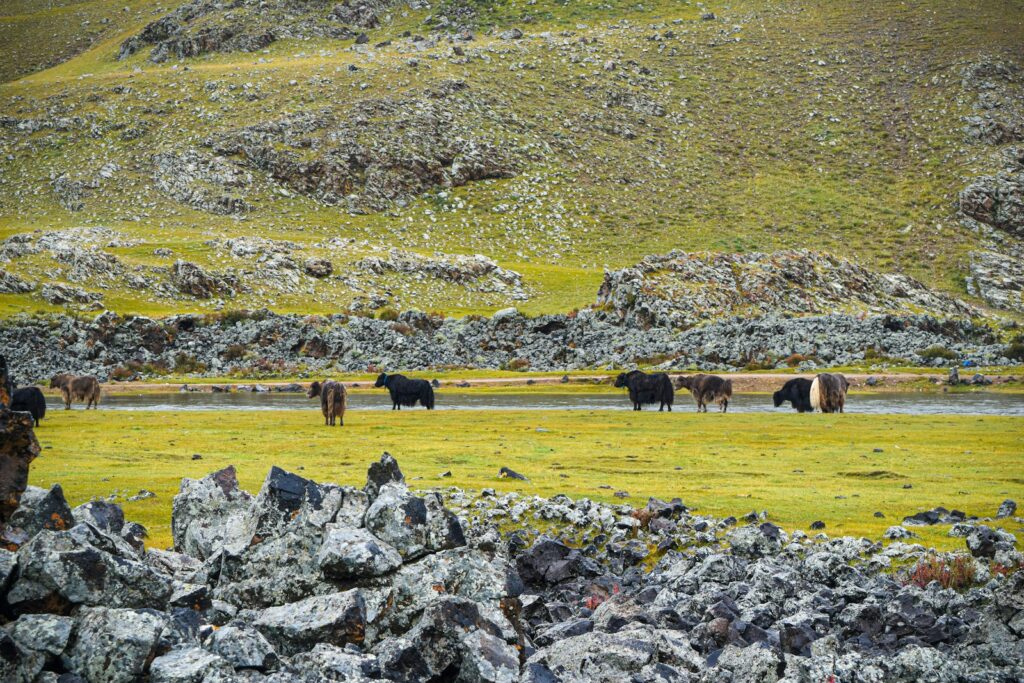 モンゴルの美しい自然
