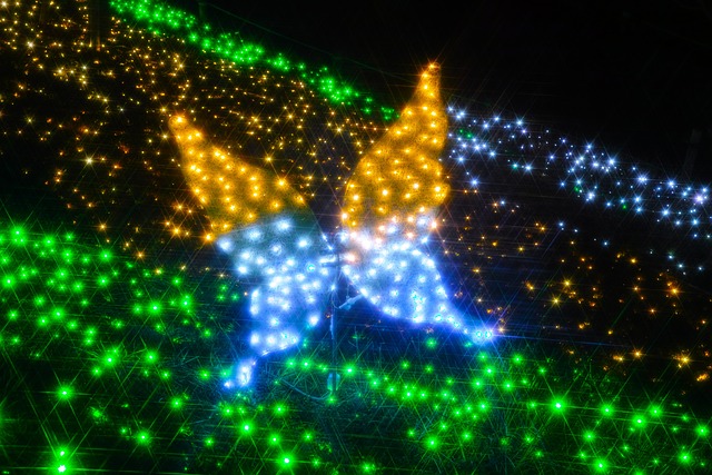 イルミネーションの光の世界