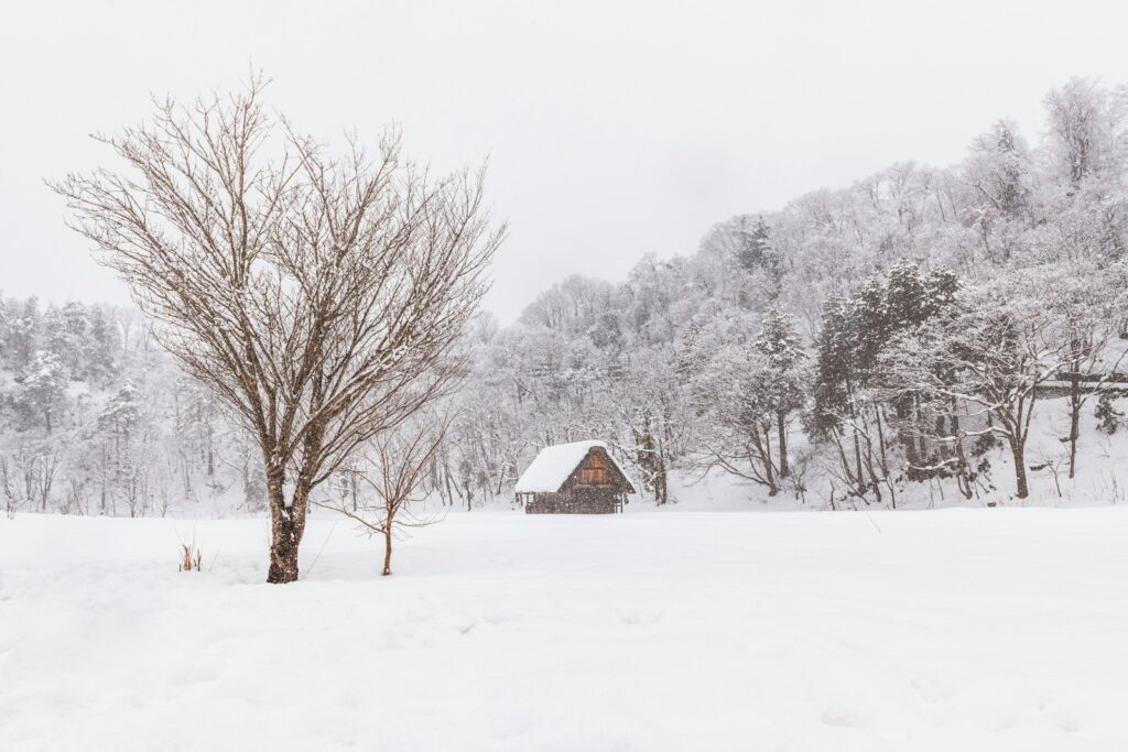 雪が舞う下呂温泉は幻想的