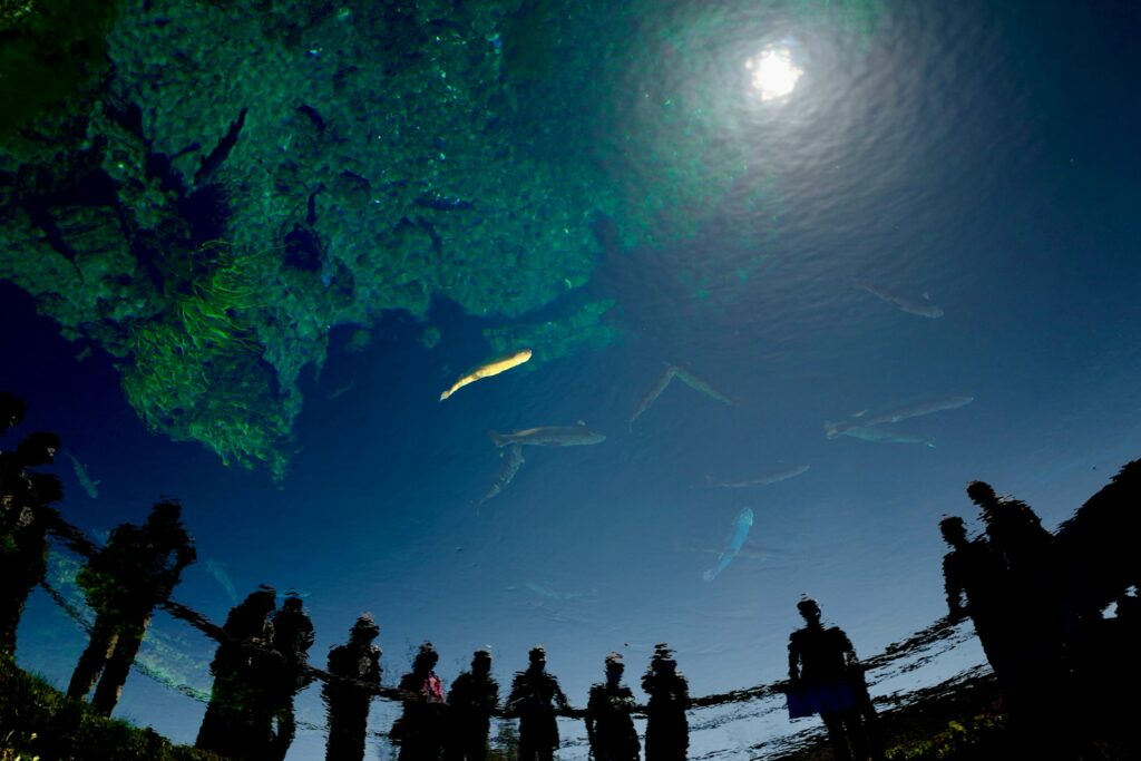 山梨観光のモデルコース忍野八海