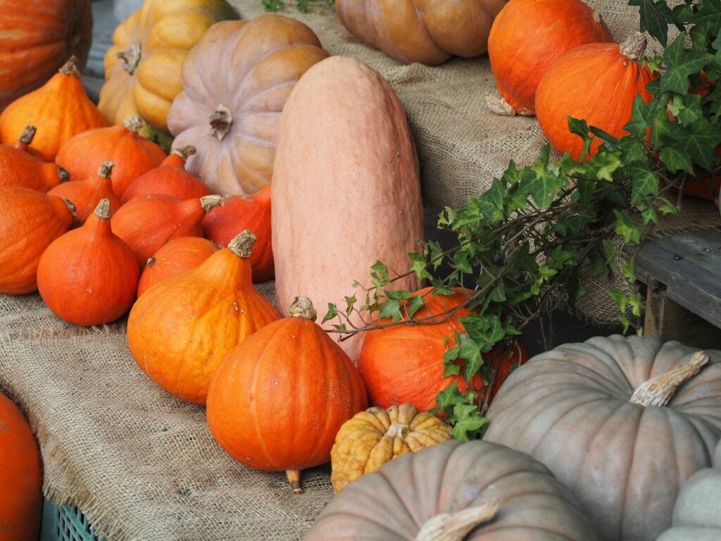 栄養豊富なカボチャ