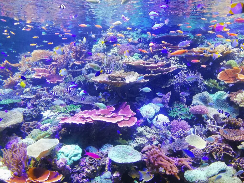 見どころがたくさんの名古屋港水族館