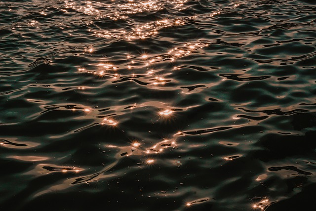 ライトアップされた港では海面が灯りを反射する