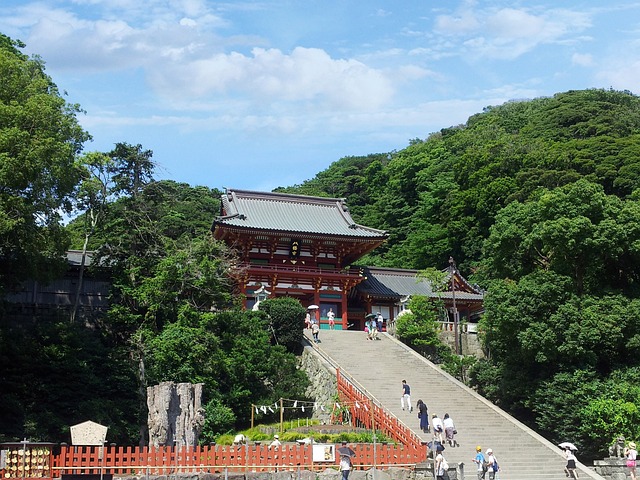 鎌倉の文化の起点・鶴岡八幡宮