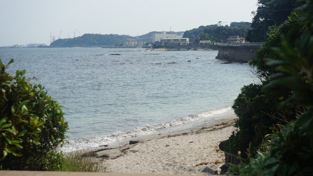 木々や建物に囲まれた水域