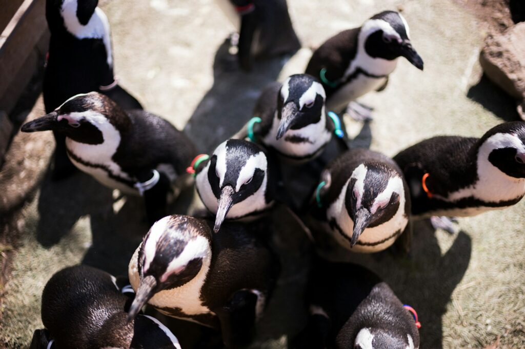 カップルで訪れてほしい宮島水族館