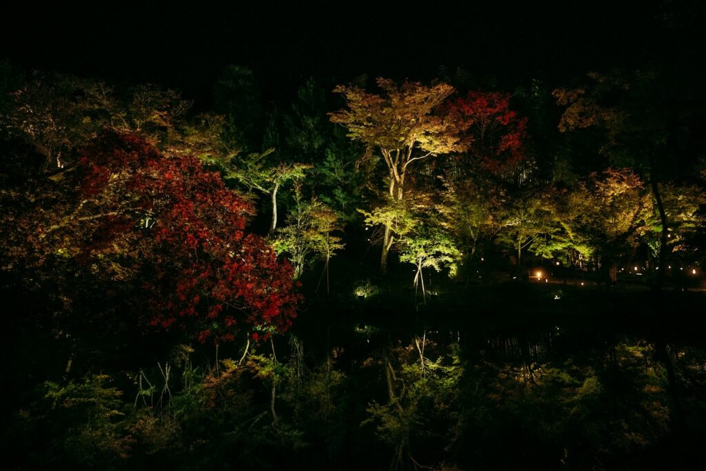 平泉の美しい夜景を楽しむ