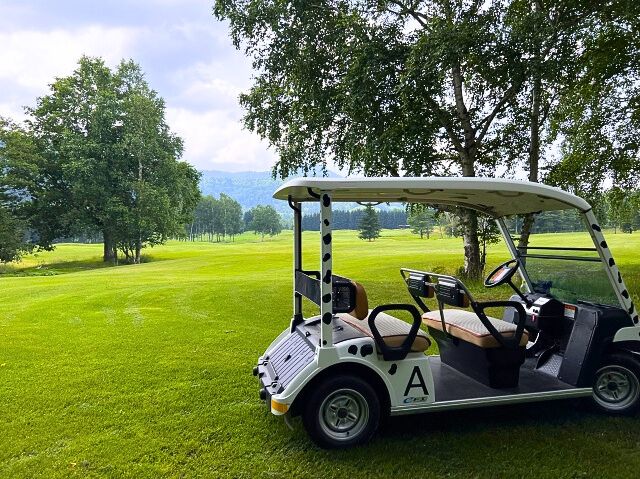 広大な敷地とカート