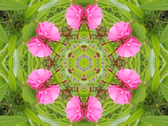 色とりどりの万華鏡で心を奪われる