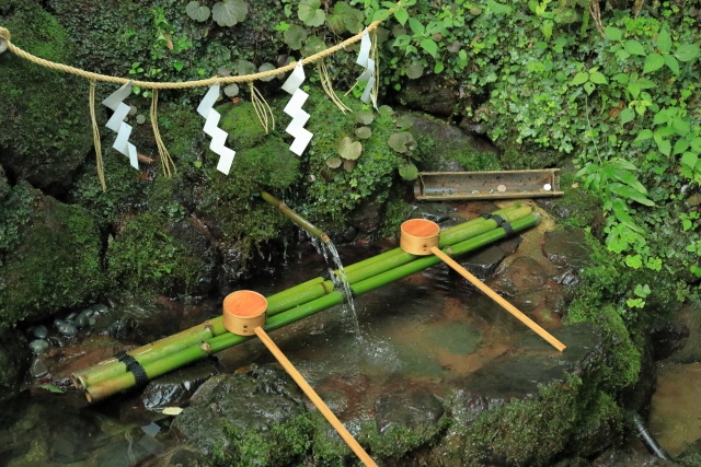夏の京都の涼しいスポット