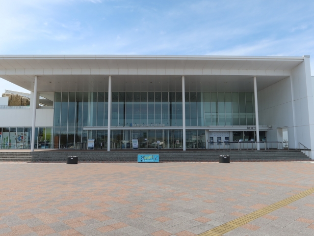 うみの杜水族館の様子