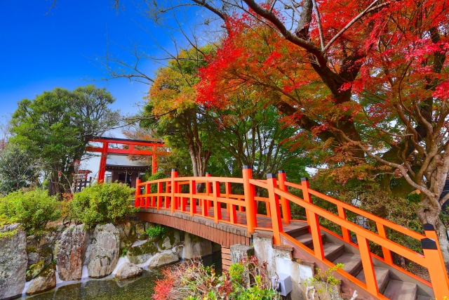 伊豆パノラマパークにある神社