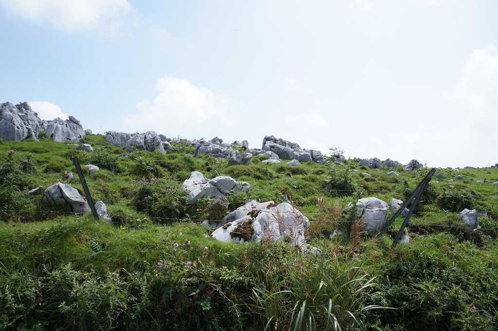 大野ヶ原では広大な自然でリフレッシュする