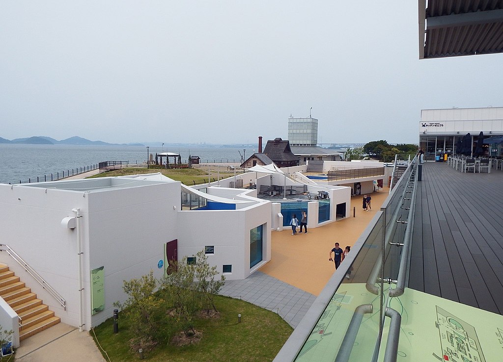 四国水族館ではイルカショーは絶対に見て