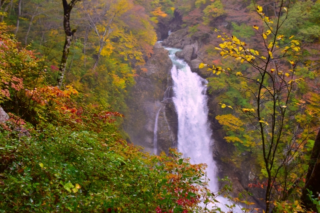 大自然が感じられる秋保大滝