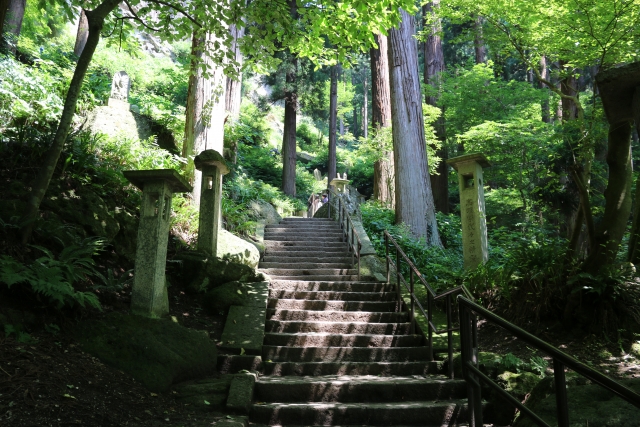 自然の癒される風景