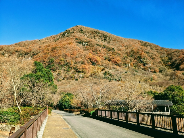 幕山公園の絶景