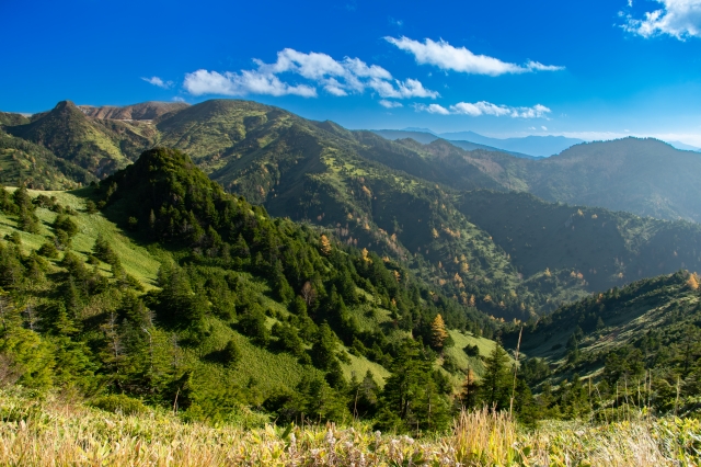 晴れ渡った青空､夏の横手山の絶景
