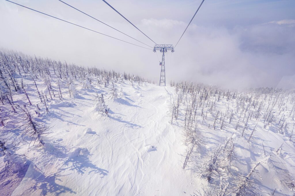 樹氷連なる冬の蔵王