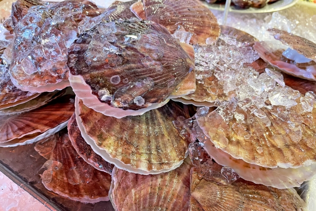 沼津の朝市にある魚介