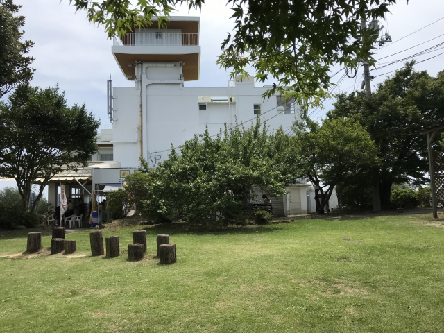 オリーブの木が広がる牛窓オリーブ園