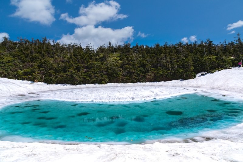 八幡平の夏のおすすめ観光スポット