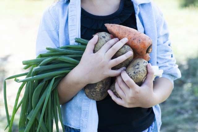 農園で収穫した野菜を持つ人