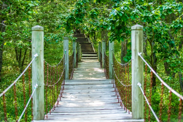 釧路湿原の北斗展望台に続く道