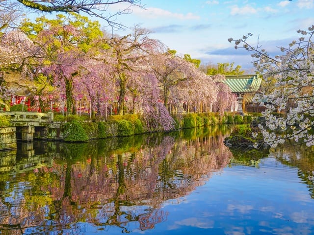 静岡の魅力を3月に堪能しよう！
