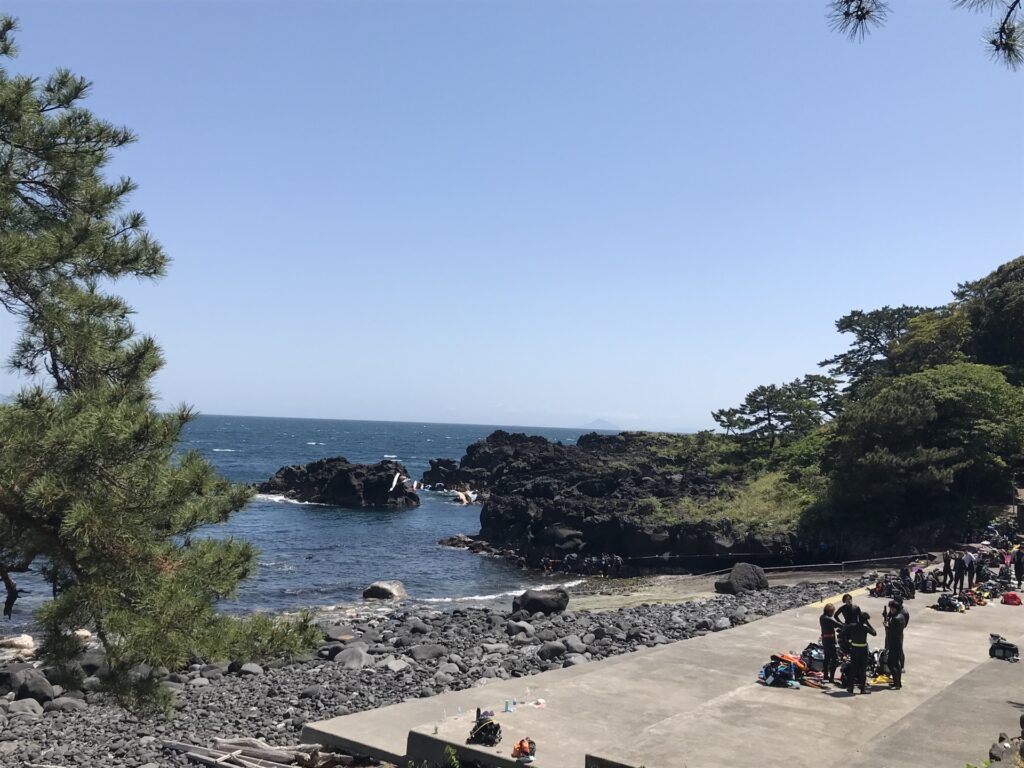 ダイビングも楽しめる伊豆海洋公園