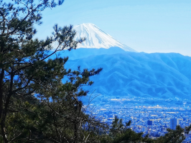 和田峠より富士山と甲府市街を松の木の隙間から眺める絶景