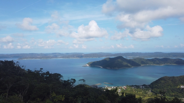 奄美大島 奄美自然観察の森 展望デッキ