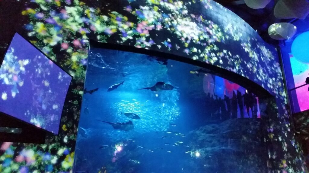 新江ノ島水族館で幻想的な雰囲気を味わう