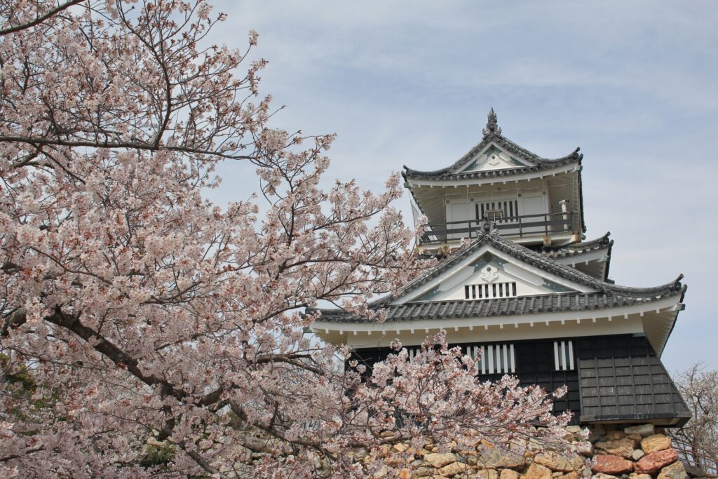 桜と浜松城