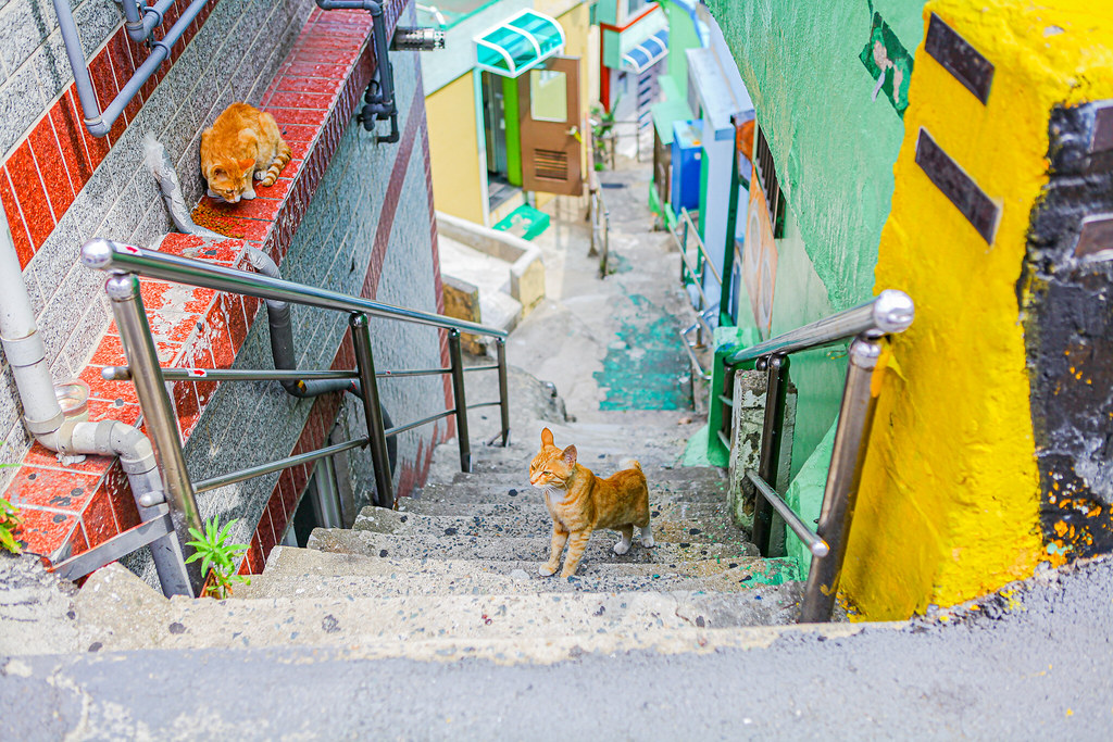 甘川文化村のカラフルなフォトスポット