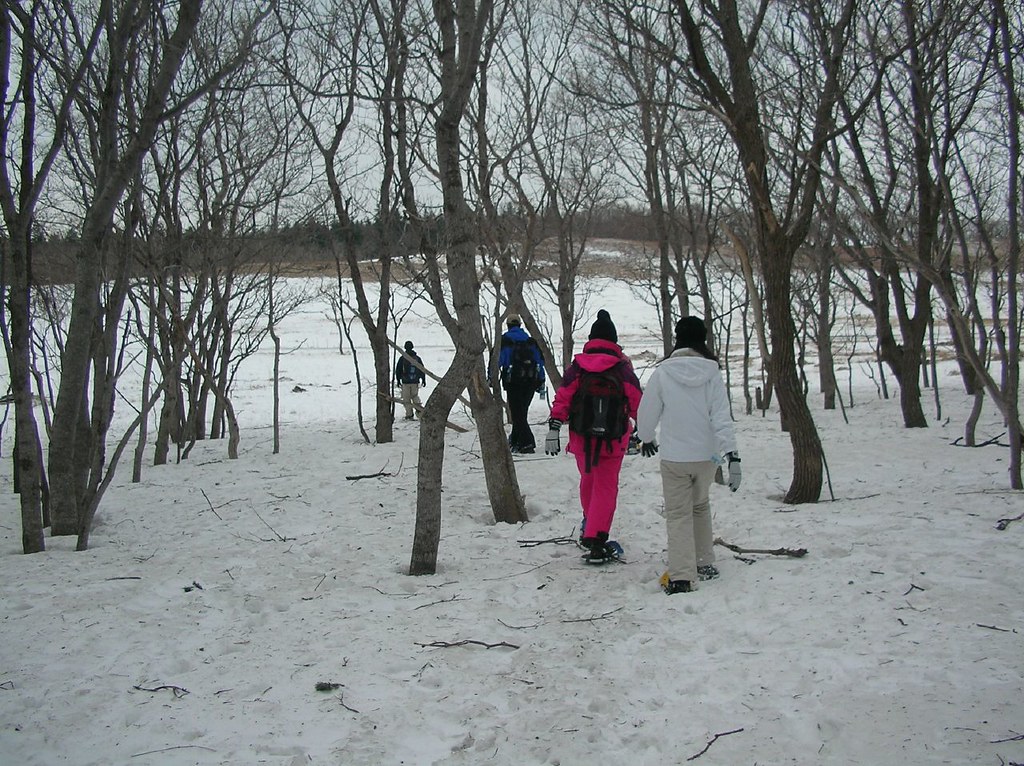 スノーシューイングは、初心者でも楽しめる人気のアクティビティです