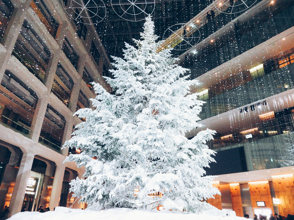 12月の東京観光