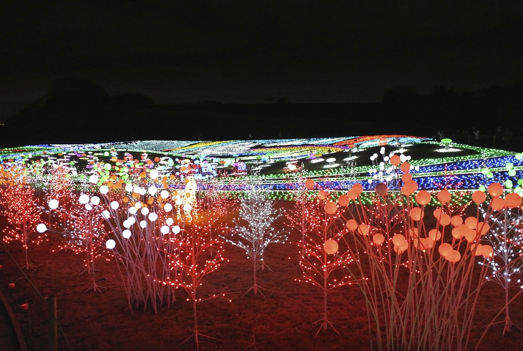 東京ドイツ村のイルミネーションは冬の風物詩