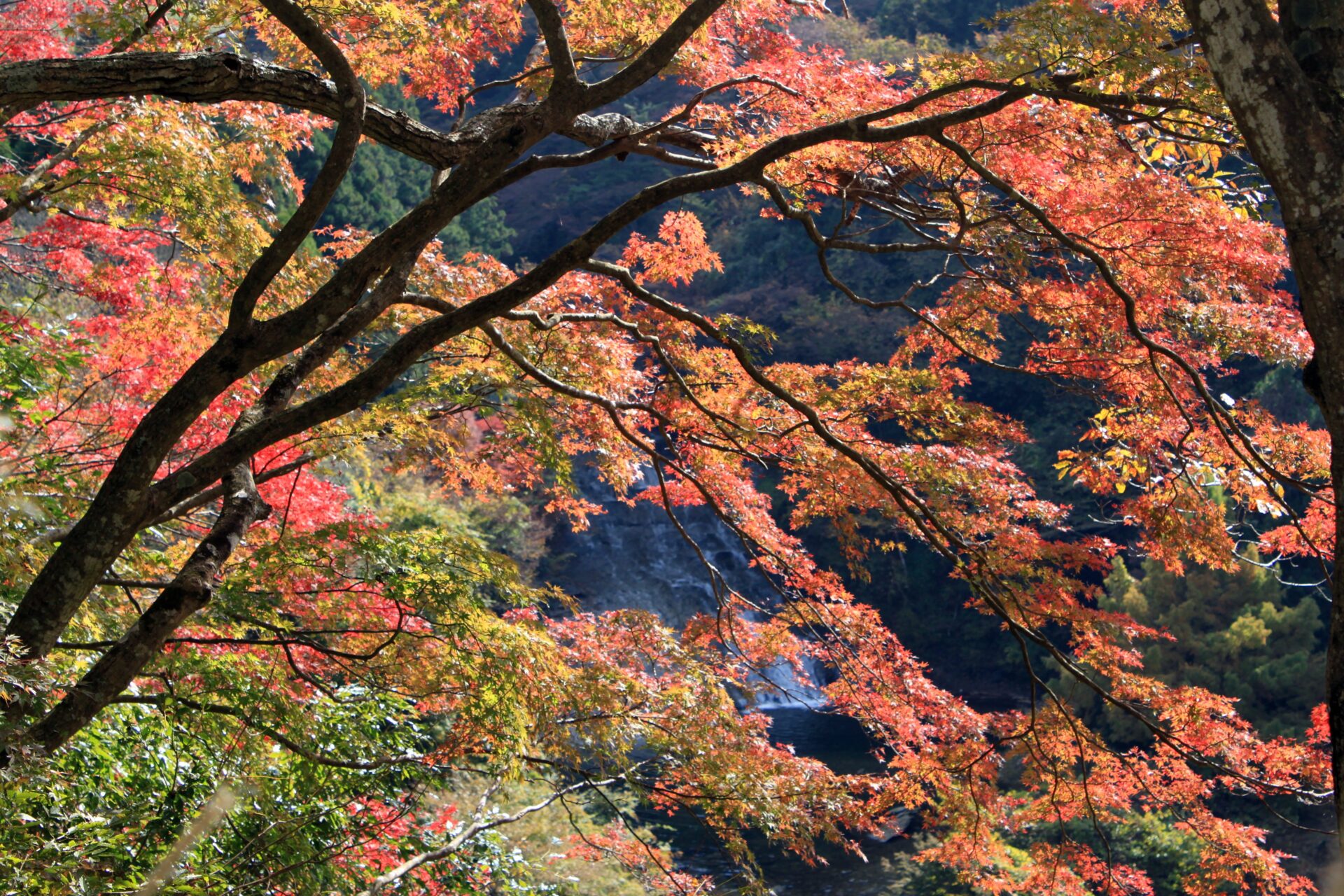 11月の房総観光